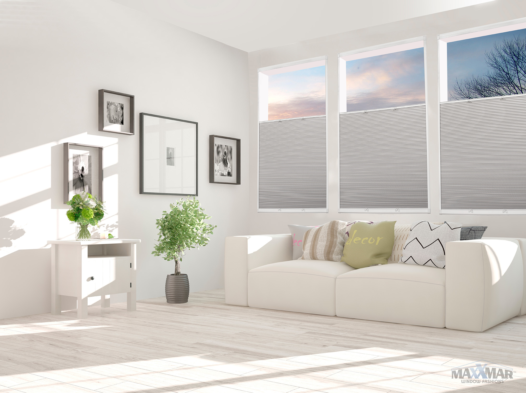 Better Fit - Cellular - TDBU 2 Roller Shades Maxxmar